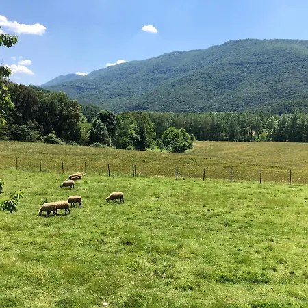 La Badia Nova *